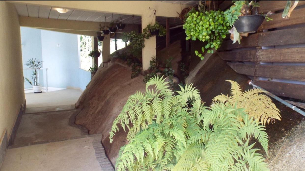 Pousada In Garden Teresópolis Extérieur photo